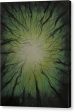 Bloody Sea of Green - Canvas Print Hot on Sale