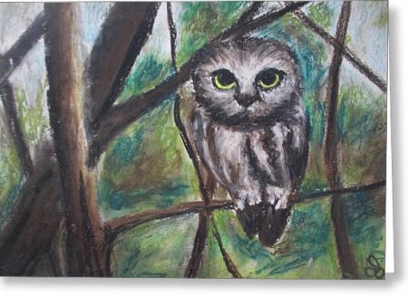 Owl Night - Greeting Card For Cheap