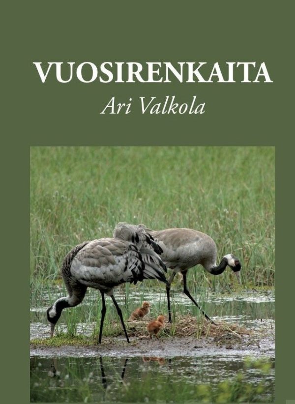 Vuosirenkaita Hot on Sale