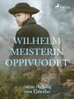 Wilhelm Meisterin oppivuodet Discount