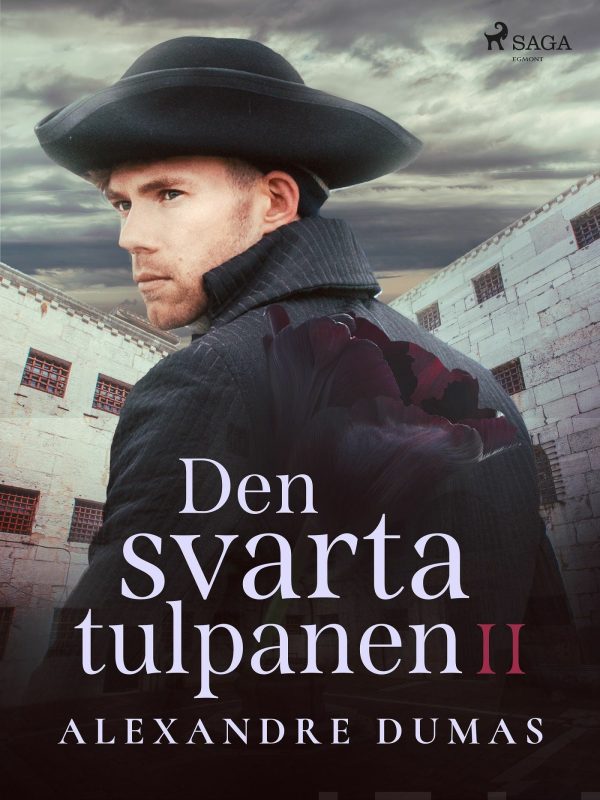 Den svarta tulpanen II Hot on Sale