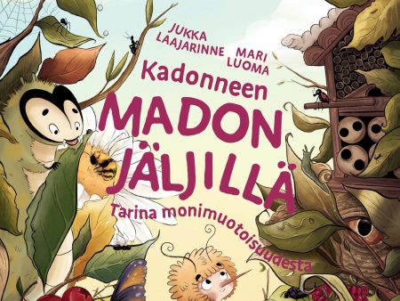 Kadonneen madon jäljillä Online Sale