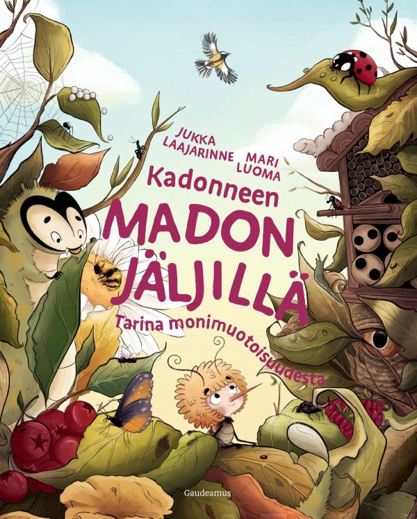 Kadonneen madon jäljillä Online Sale